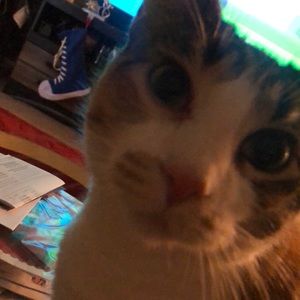 Meet your Posher, Whitney